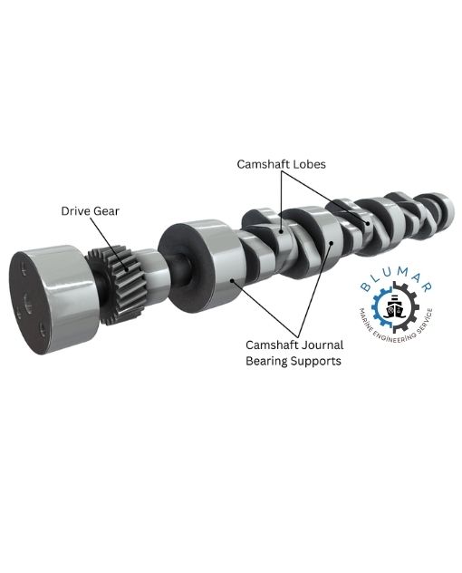 Camshaft - Cam Replacement