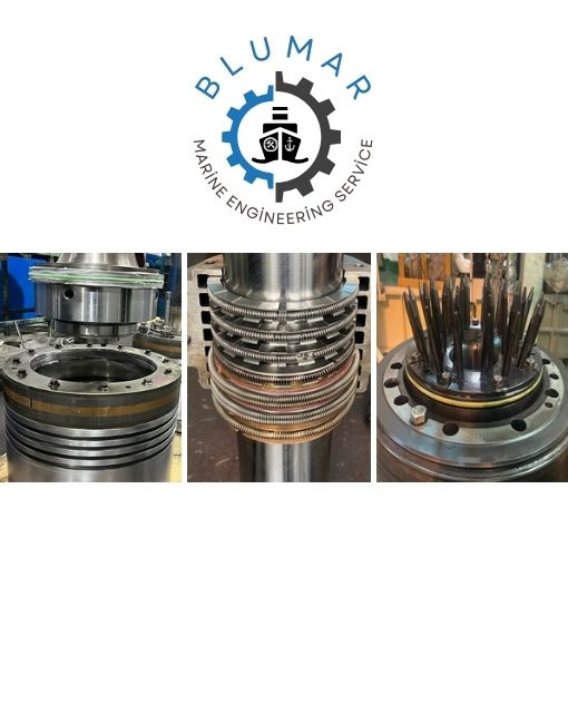 Piston And Stuffing Box Service